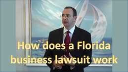 David Steinfeld's video on how Florida business lawsuits really work