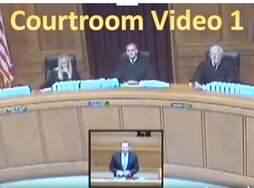 David Steinfeld's video one of him arguing in court