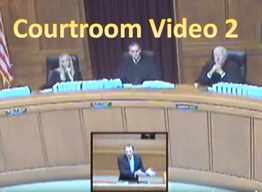 David Steinfeld's video two of him arguing in court