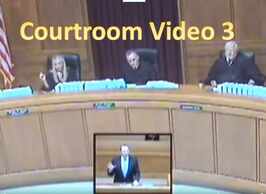 David Steinfeld's video three of him arguing in court